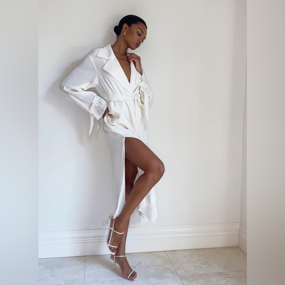 Aritzia Babaton 1-01 Giselle Trench Wrap  Dress